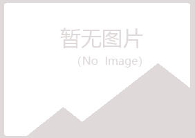 兰山区谷雪采矿有限公司